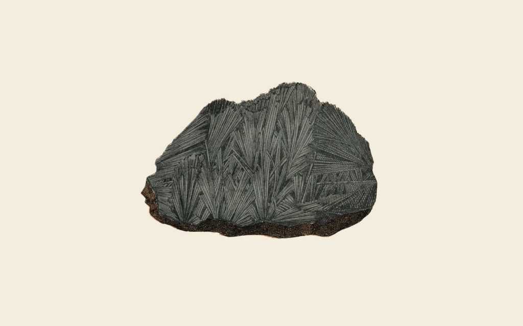 Fossils